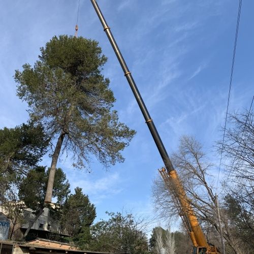 Grua en el Bages